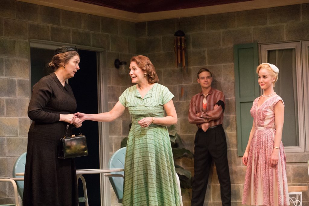 Read more about the article Rubicon’s “Gulf View Drive” Is Superb Drama About Bravery and Family